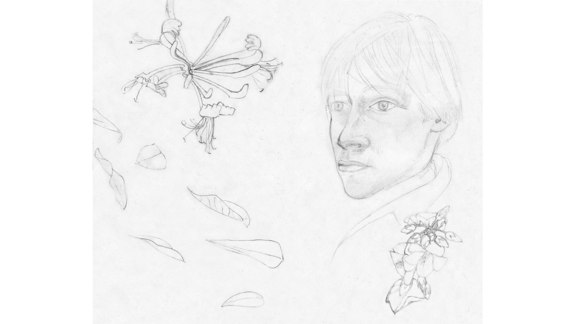 Geißblatt und Paul-Gerhard