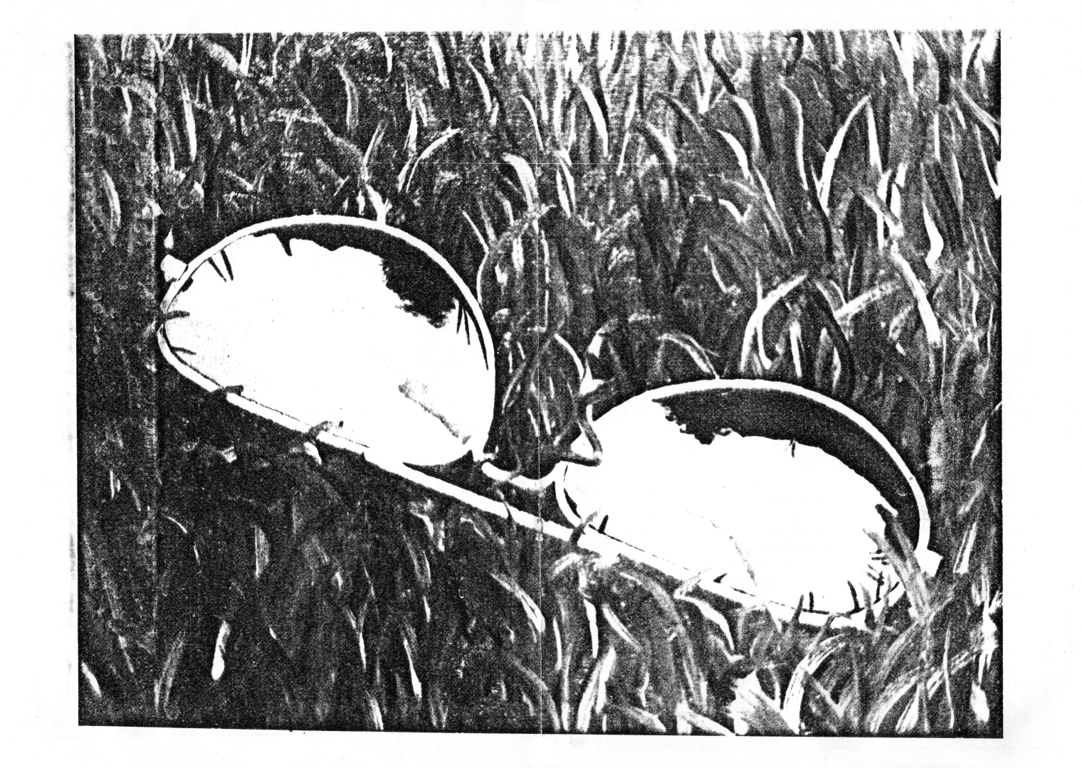 HZ 6 - Seite 16 und 17